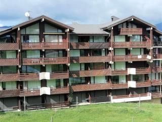 Appartement 3 pièces au pied des pistes - 7 personnes - FR-1-815-89 - 2