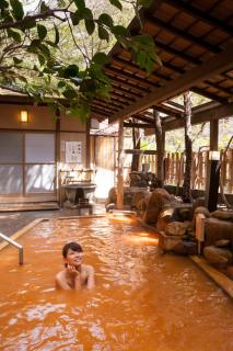 Arima Onsen Gekkoen Yugetsusanso - Kobe - 4