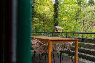 La Petite Ourse Durbuy - natuur chalet in het bos - 1
