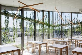 Terme Olimia - Hotel Breza - 5