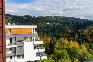 Apartament Na Urlop - Wisła Bukowa Góra - Apartamenty z widokiem na panoramę Wisły - Wisła - 7
