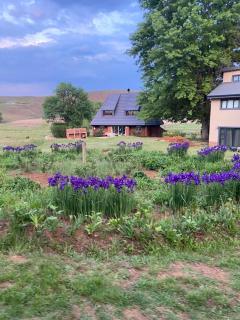 Valley Lakes CHALETS - Underberg - 7