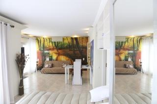 Penthouse Ventur - 4