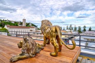 The Address Napier - 7