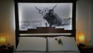 The Four Seasons Hotel - 3