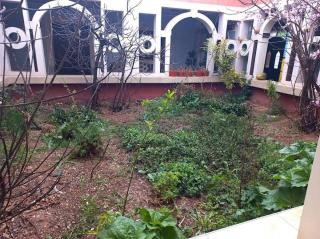 Assounfou - Ouarzazate - 3