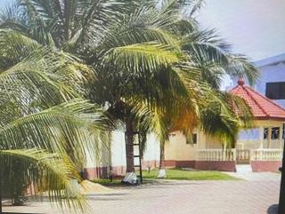 Exclusive Holiday Villa with Pool in Accra - 7