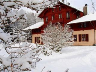 Maison de charme avec jardin à Mitzach, vue sur montagne - Mitzach - 4
