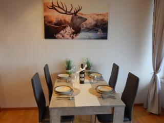 Appartement zur Bergoase mi Schwimmbad - Hohegeiß - 0