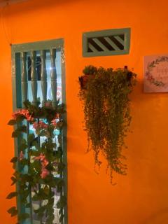 Casa Renacer - Cartagena de Indias - 8