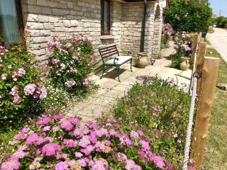 Winspit View - Worth Matravers - 9