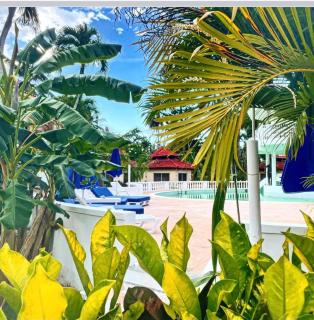 Palms Lounge Cabarete - Cabarete - 6