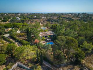 Casa Palmeiras Luxury Tranquil area BBQ Large Pool - Carvoeiro - 4