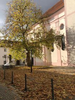 Gästehaus an der Frauenkirche - Günzburg - 3