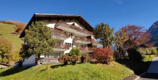 Gemütliches Appartement für Erholung und Sport - Klosters - 2