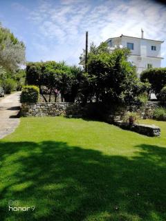Villa ALEXIS - Koukounaries - 8