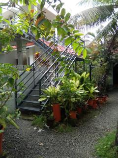 Coconut Grove - Cochin - 3