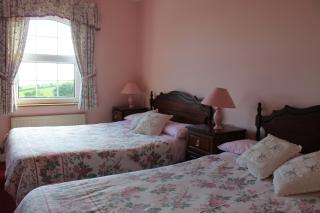 Springfield House B&B - 5