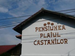 Agro-pensiunea "Plaiul Castanilor" - Tismana - 7