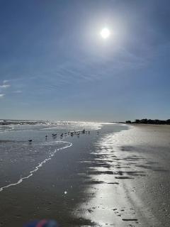 Reduced rate! The Wave of it All Tiki Bar Walk to the beach - Crystal Beach - 5