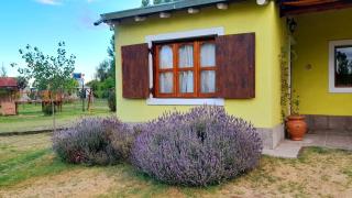 Finca el Colibrí - 1