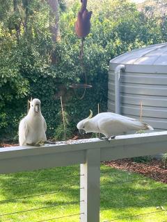 Getaway On Little - Daylesford - 7