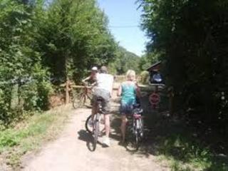 Charmant Gîte Familial avec Grand Terrain, à Proximité de Fontgombault et de la Creuse - FR-1-591-118 - 8