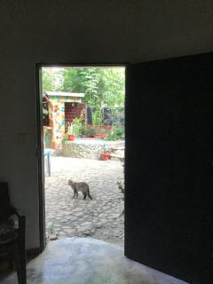 Casa Bella - Taganga - 2