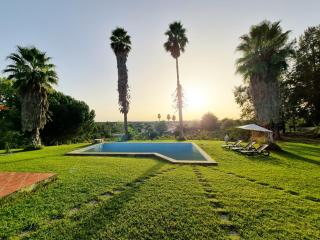 Fantástica Casa de Campo com Piscina perto de Lisboa - Santarém - 8