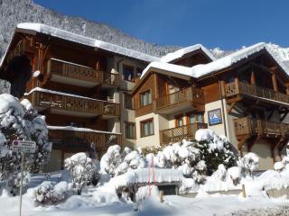 Duplex moderne proche des pistes avec parking et WiFi - FR-1-343-188 - Chamonix-Mont-Blanc - 9