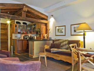 Superbe appartement à Chamonix avec balcon et vue Mont-Blanc - FR-1-343-209 - Chamonix-Mont-Blanc - 0
