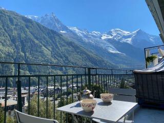 Superbe appartement à Chamonix avec balcon et vue Mont-Blanc - FR-1-343-209 - Chamonix-Mont-Blanc - 2