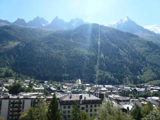 Superbe appartement à Chamonix avec balcon et vue Mont-Blanc - FR-1-343-209 - Chamonix-Mont-Blanc - 1