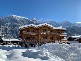 Bel appart 4* avec jardin privé, à 350m de la Flégère, WIFI, PARKING - FR-1-343-213 - Chamonix-Mont-Blanc - 9