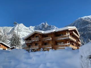 Bel appart 4* avec jardin privé, à 350m de la Flégère, WIFI, PARKING - FR-1-343-213 - Chamonix-Mont-Blanc - 8
