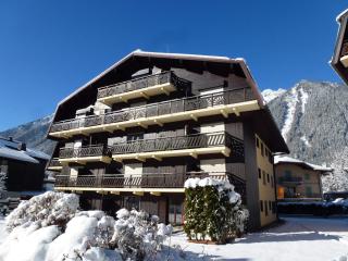 Chamonix : Studio charmant, balcon vue Mont-Blanc, parking, wifi, animaux acceptés - FR-1-343-221 - Chamonix - 8