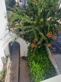 Villa Bianca - Kremasti - 8