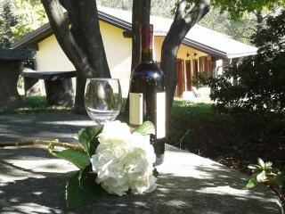 Casa Luciana - Mergozzo - 3