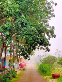 ฮักฮิมเกี๋ยน รีสอร์ท น่าน Hug Him Kien - 9