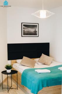 Pod Brzozami Apartamenty Wiejska - Ustronie Morskie - 8