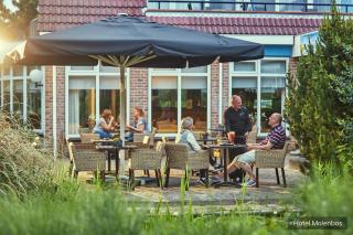 Hotel Molenbos Texel - De Cocksdorp - 8
