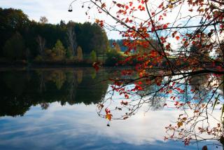 Seehof direkt am See - - 5