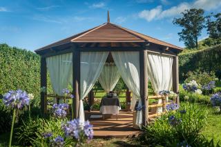 The Lince Nordeste - 2