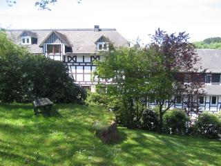 Pension Hampel - Schmallenberg - 1