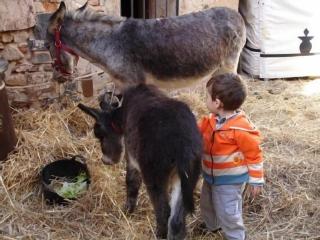 Apartamentos en sierra de gata ALMA - 1