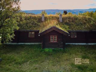 Cozy cabin at Beitostølen with sauna, hot tub & fireplace - Beitostøl - 5