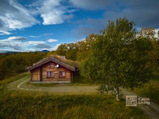 Cozy cabin at Beitostølen with sauna, hot tub & fireplace - Beitostøl - 8