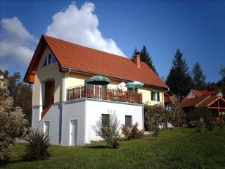 Apartment Deller Renate - Leutschach - 0