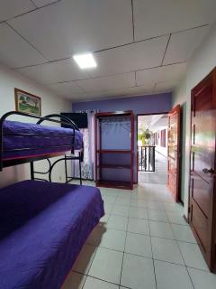 Hôtel Pez Gallo - Golfito - 4