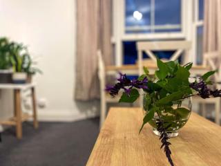 Cosy & Comfortable - Heart of Hove - Beach Getaway - Brighton & Hove - 5